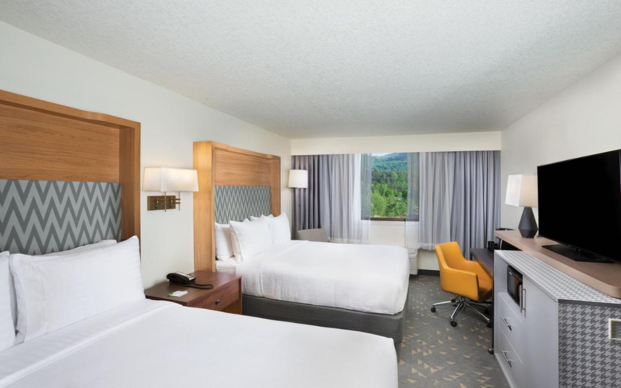 Holiday Inn Asheville East-Blue Ridge Pkwy By Ihg Εξωτερικό φωτογραφία