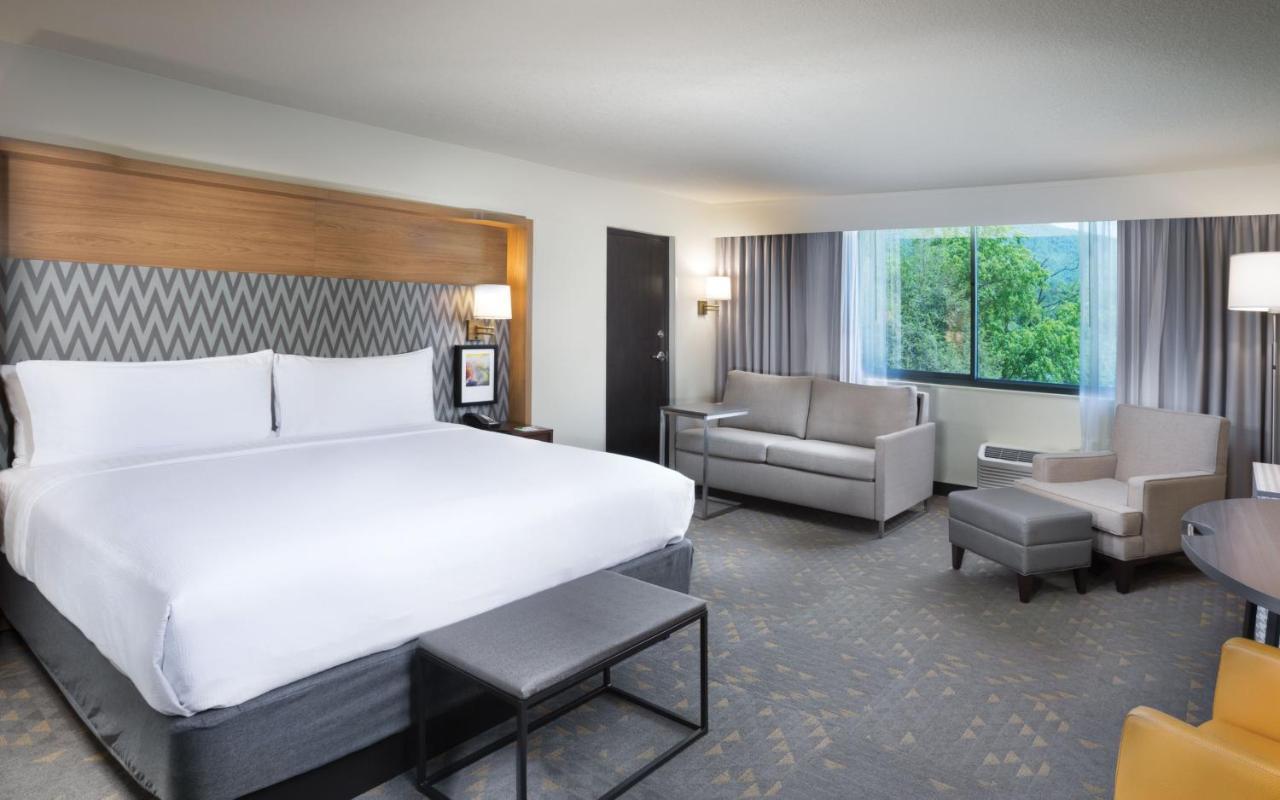 Holiday Inn Asheville East-Blue Ridge Pkwy By Ihg Εξωτερικό φωτογραφία