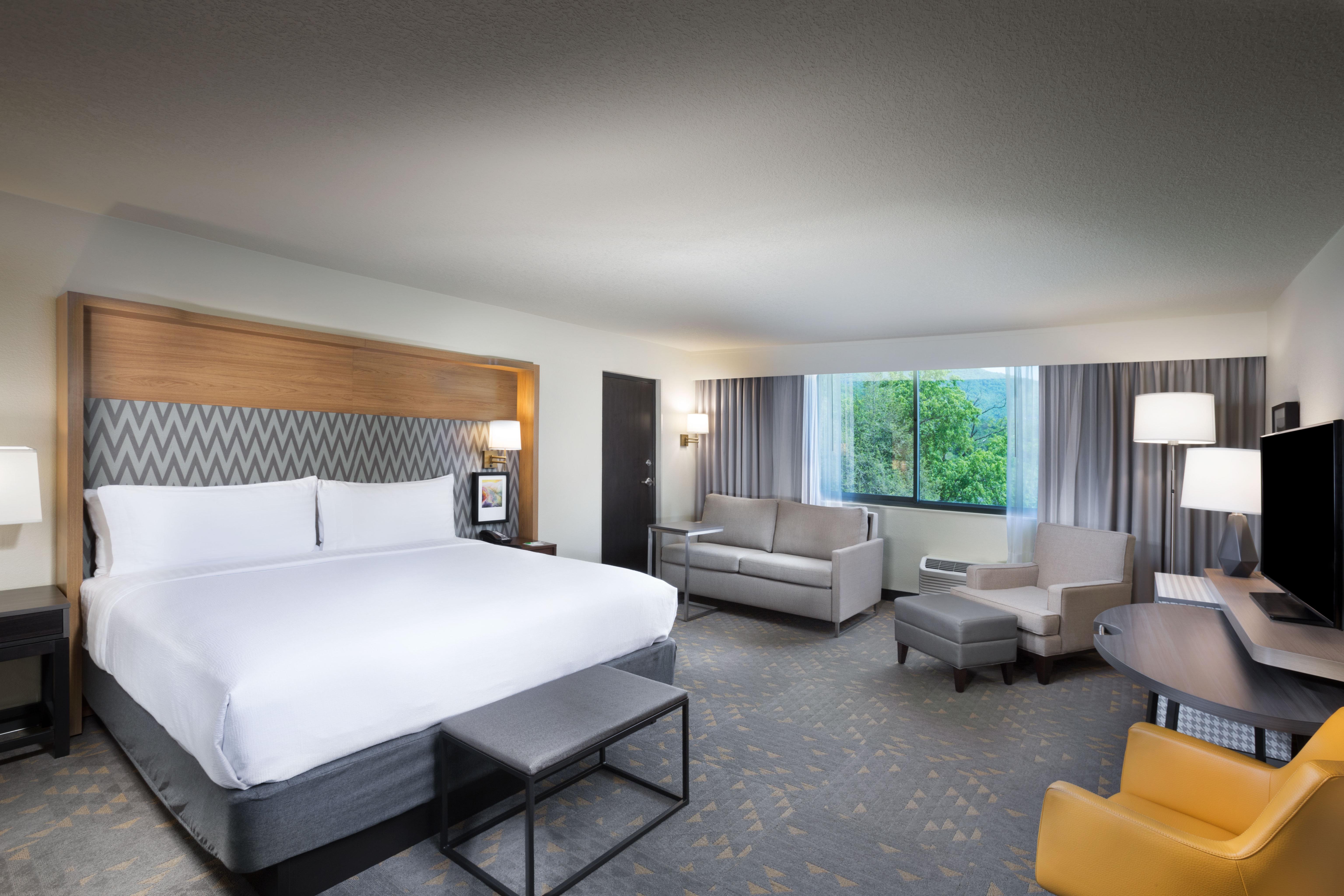 Holiday Inn Asheville East-Blue Ridge Pkwy By Ihg Εξωτερικό φωτογραφία